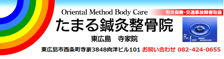 東広島市 鍼灸 美容鍼 小児鍼 整体 不妊治療 肩こり 腰痛 ムチウチ 交通事故治療 東洋医学 漢方薬相談 からだ こころの元気に はり きゅう 整体での治療 疾病予防 健康増進の取り組みを 日頃の養生とともに たまる鍼灸整骨院