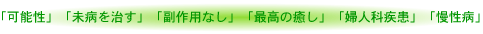 「可能性」「未病を治す」「副作用なし」「最高の癒し」「婦人科疾患」「慢性病」